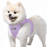 Harnais rabbitgoo pour petit chien en mesh respirant, confort lors des sorties