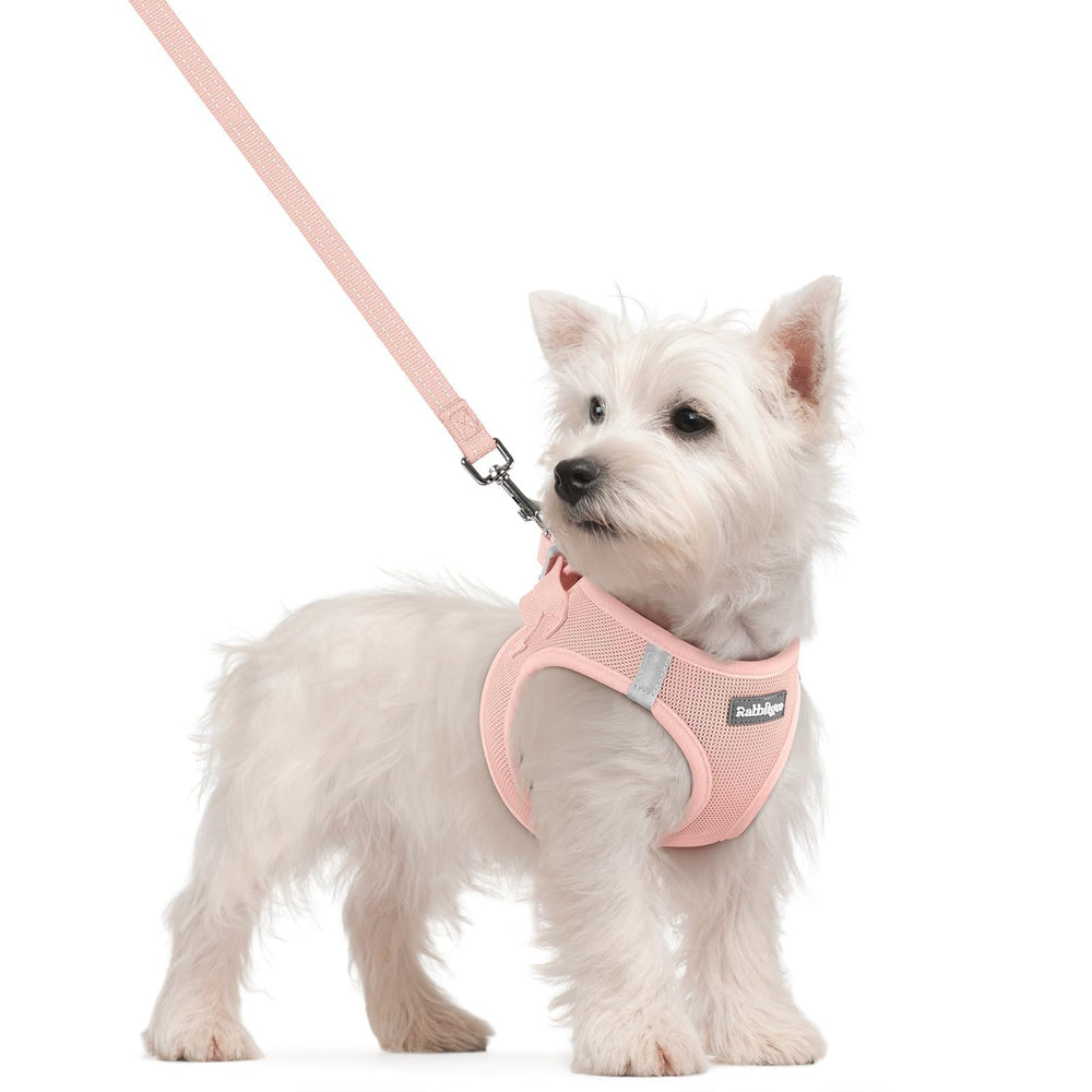 Harnais Rabbitgoo petit-chien rose doux pour balades confortables et faciles