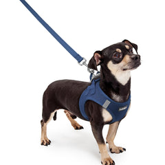 Harnais Rabbitgoo XXXS pour petit chien enfilage facile par les pattes.