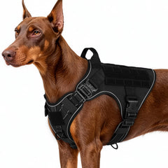 rabbitgoo harnais tactique grand chien – vue frontale, confort et ajustement pour grands chiens