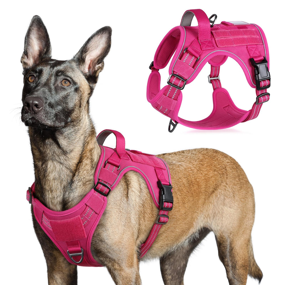 Harnais tactique Rabbitgoo rouge pour chien grand, confort et sécurité lors des promenades.