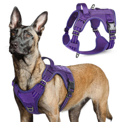 Harnais Rabbitgoo violet pour chien de grande taille, confort et contrôle lors des sorties.