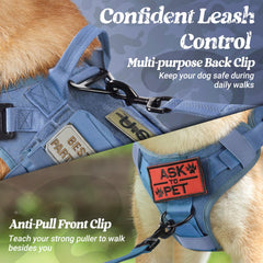 Rabbitgoo harnais bleu avec système MOLLE sur le côté pour accessoires pratiques.