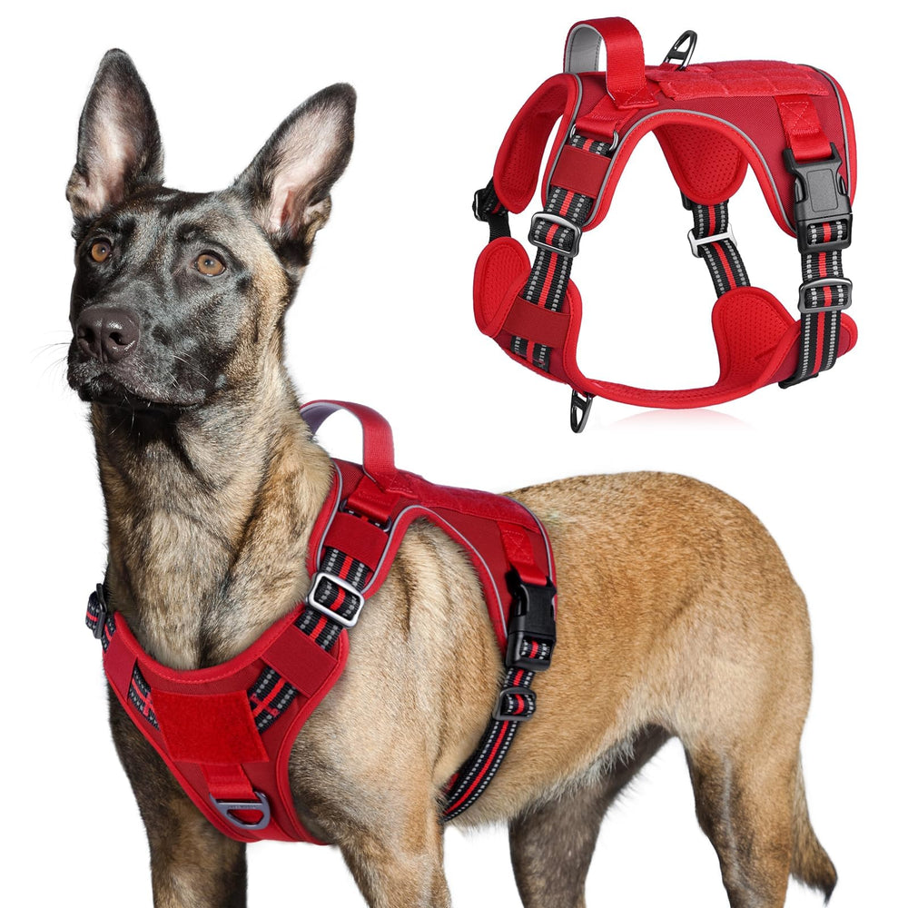 Harnais rabbitgoo grand chien avec poignée et MOLLE pour un contrôle sûr lors des promenades.