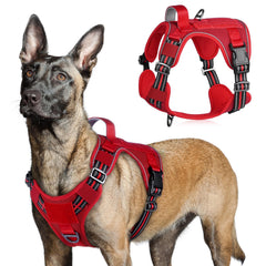 Harnais rabbitgoo grand chien avec poignée et MOLLE pour un contrôle sûr lors des promenades.