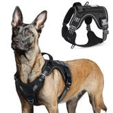 Harnais Rabbitgoo pour grands chiens – vue face, ajustement facile pour des promenades rapides.