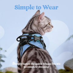 Longe Rabbitgoo de 59 pouces pour promenades faciles et sous contrôle.
