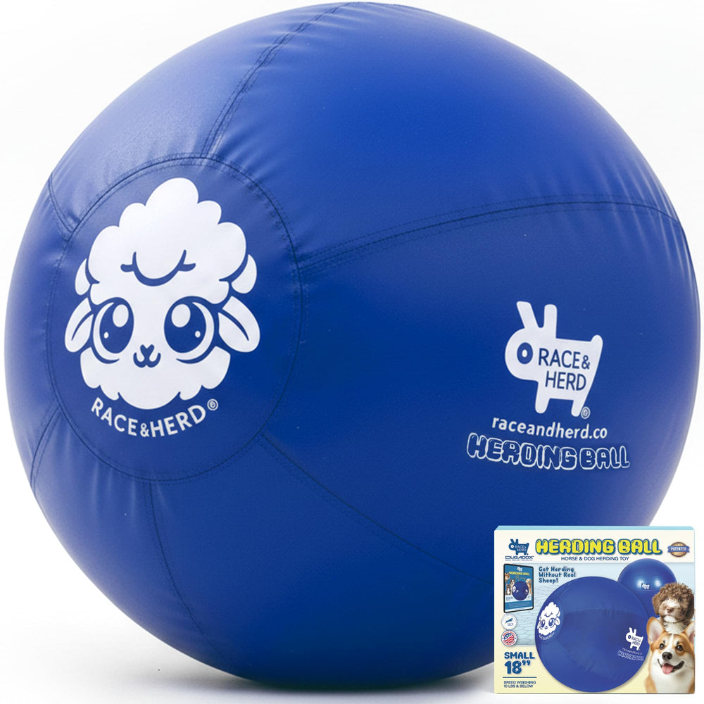 Race&Herd Balle dressage-troupeau XXL bleue utilisée pour stimuler l'instinct du chien.