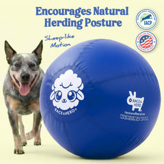Race&Herd Ballon d'herding durable en caoutchouc bleu pour chiens actifs