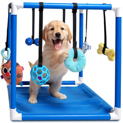 Race&Herd gym chiot tapis-jeu petit chien stimulation physique en intérieur.