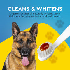 RADIUS dentifrice chien haleine fraîche après brossage
