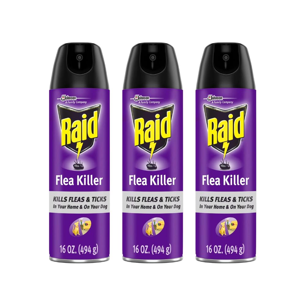 Raid Puces Plus – Bouteille 16oz prête pour usage intérieur sur tapis