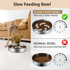 Bol Ralory à grande capacité, adapté aux grands chiens et à l’alimentation lente.