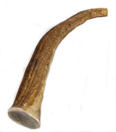 Big Dog Antler Chews ramure wapiti tranche-tine 8-12 pouces, mastication longue durée