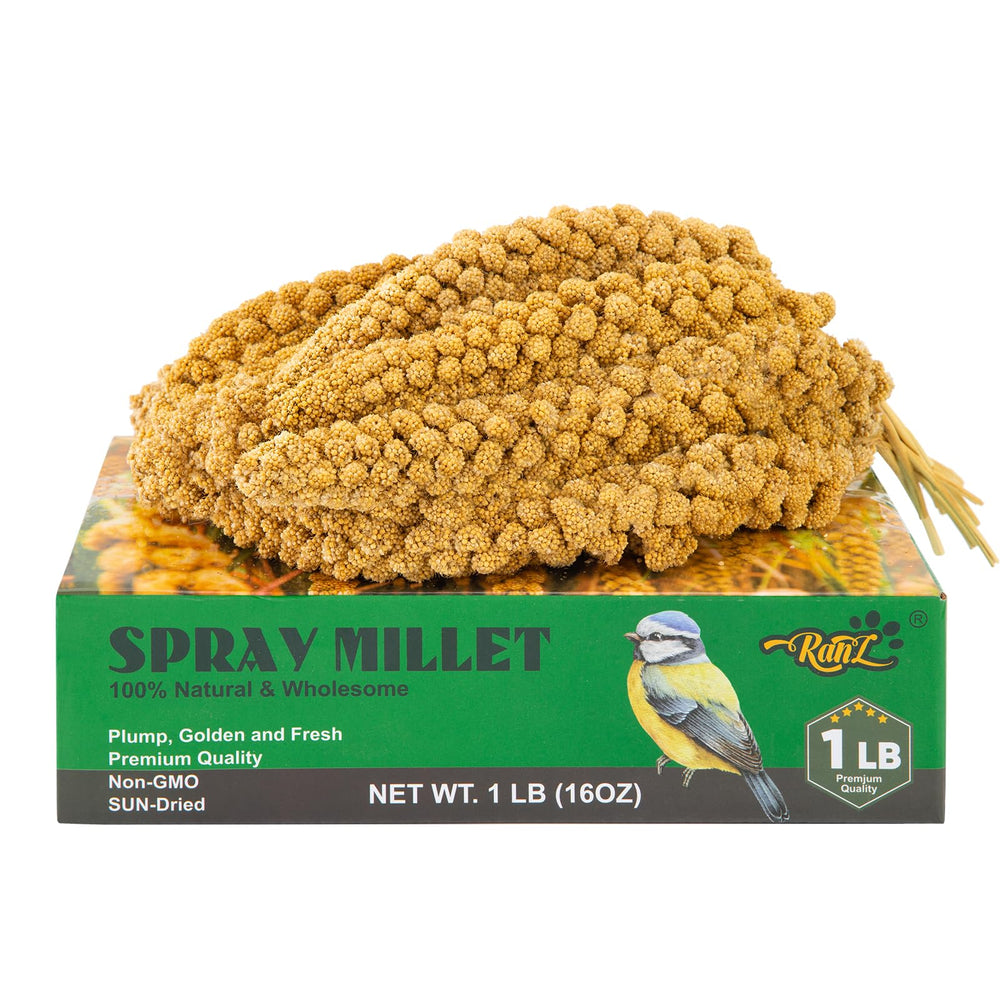 RANZ Millet Spray emballage 1 livre, collation naturelle prête à offrir.