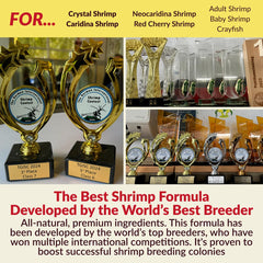 Rare Shrimp bacillus subtilis probiotiques améliore digestion et absorption des nutriments.