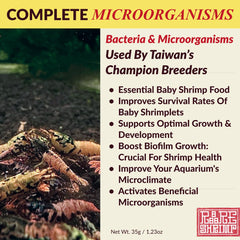 Rare Shrimp biofilm couches montre des zones nourrissantes pour les crevettes.