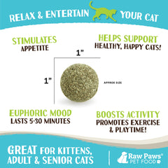 Raw Paws Balles d'Herbe à Chat – texture douce, favorise le toucher et le jeu interactif.