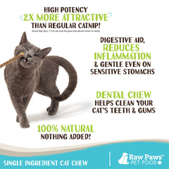 Raw Paws batons silvervine, libération du stress pour chat d'intérieur.