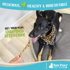 Raw Paws texture douce torsades, perfect pour chiots et chiens âgés.