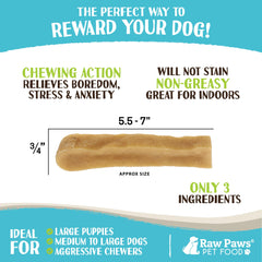 Chien en train de mordre Raw Paws Yak Chews, moment sûr et satisfaisant.