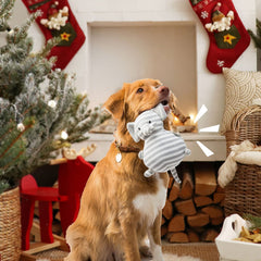 RayNAG sifflets-pour-jouets-chien-balles : prolonge la durée de vie des jouets.