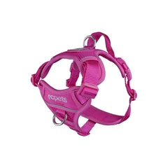 Harnais Momentum RC Pets: contrôle avant-arriere pour une marche fluide.