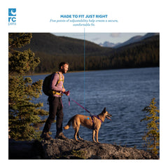 RC Pets Momentum Control Harness — vue mesh respirant, ventilation pour chien confortable.
