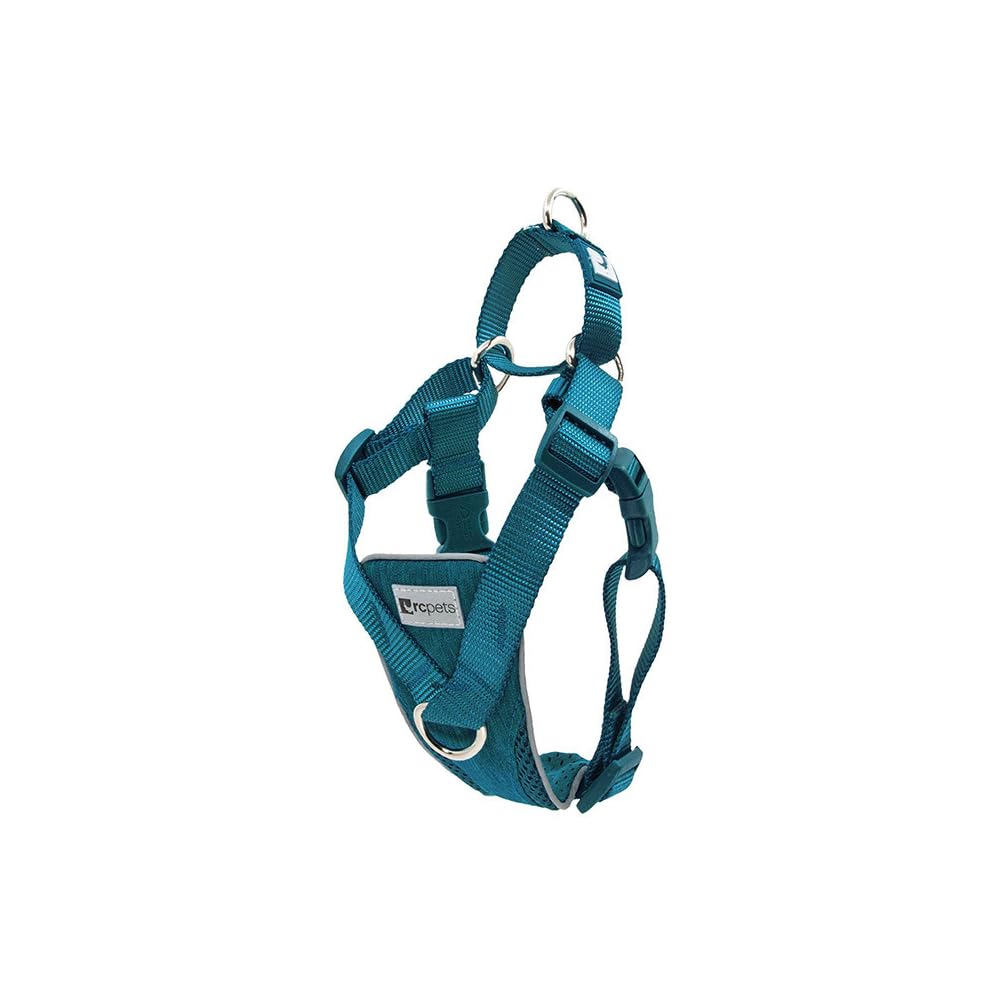Harnais RC Pets Tempo pour chien, vue d'ensemble, confort et contrôle lors des sorties.