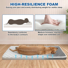 Housse lavable en machine RC SLL pour lit chien