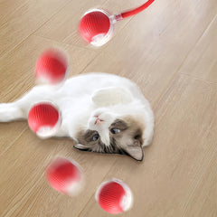 Rcxnm tige-appât rouge pour jeux interactifs, favorise l'interaction entre vous et votre chat.