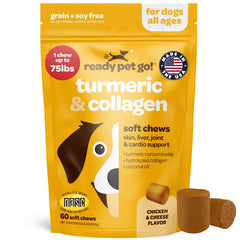 Ready Pet Go bocal friandises molles curcuma, soutien des articulations au quotidien