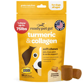 Ready Pet Go! curcuma chien, friandises molles dans la bouteille favorisant la mobilité.
