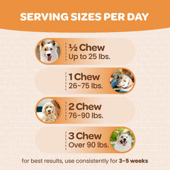 Ready Pet Go! ingrédients clés huile de krill, EPA et DHA pour une nutrition concentrée.