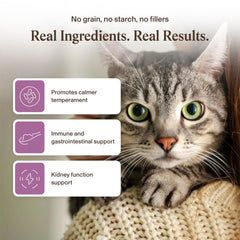 Real Mushrooms: beta-glucanes vérifiés pour cohérence et qualité fiables.