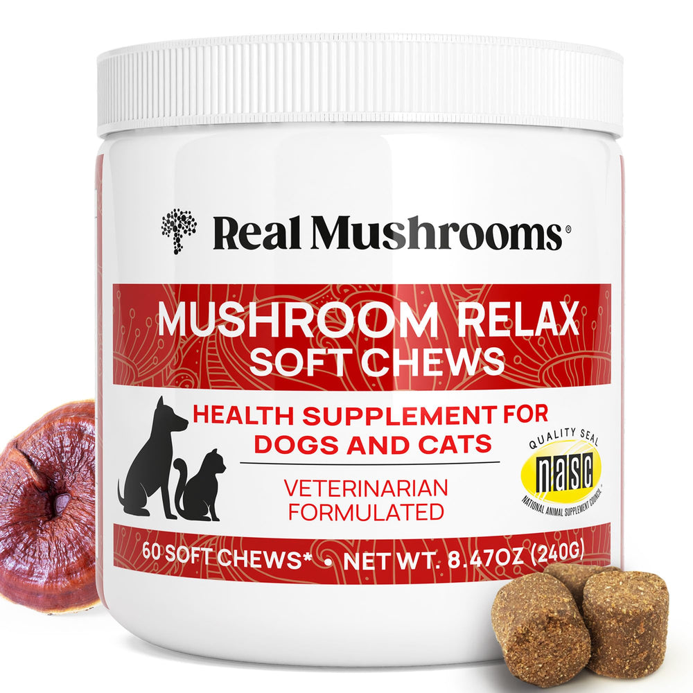 Real Mushrooms Calming Chews — boîte du produit favorisant la détente chez chiens et chats.