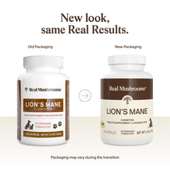 Real Mushrooms Lion’s Mane pour animaux – étiquette claire et conseils d’utilisation.