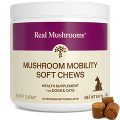Real Mushrooms Mobilité: bouteille avec gommes pour chiens et chats, soutien mobilité.
