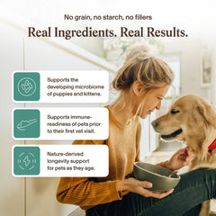 Real Mushrooms Pet Defenders – crinière de lion en poudre, équilibre général des animaux.