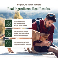 Real Mushrooms - Texture douce des friandises, adoption facile par les animaux.