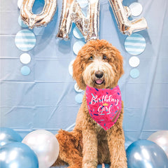 Accessoire photo de fête Realeaf bandana chien rose, idéal comme prop.