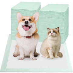 Red Rabbits tapis-pipi 24x24 avec emballage, protection anti-fuite pour sols propres.