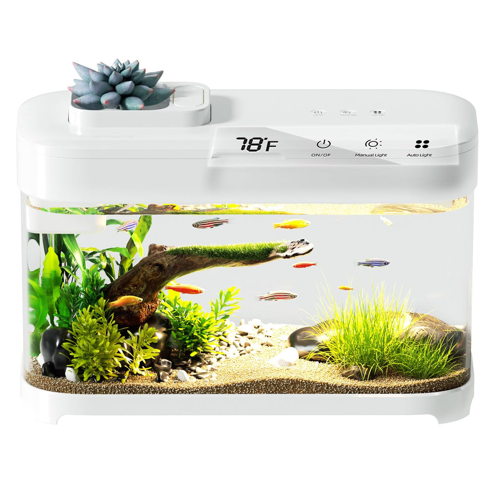 RED TAIL FISH Smart Betta Aquarium: affichage dans le couvercle pour entretien simplifié.