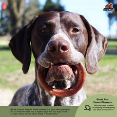 Redbarn Bully Rings – anneaux naturels sans additifs pour chien.