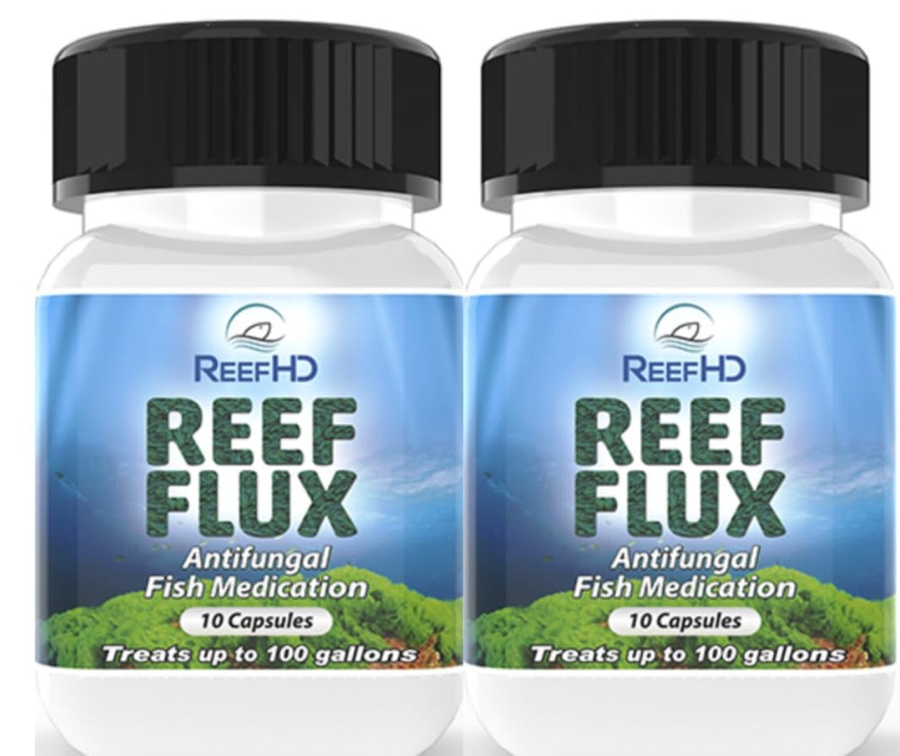 ReefHD ReefFlux Fluconazole 200 mg – flacon pour infections fongiques chez les poissons.
