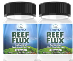 ReefHD ReefFlux Fluconazole 200 mg – flacon pour infections fongiques chez les poissons.
