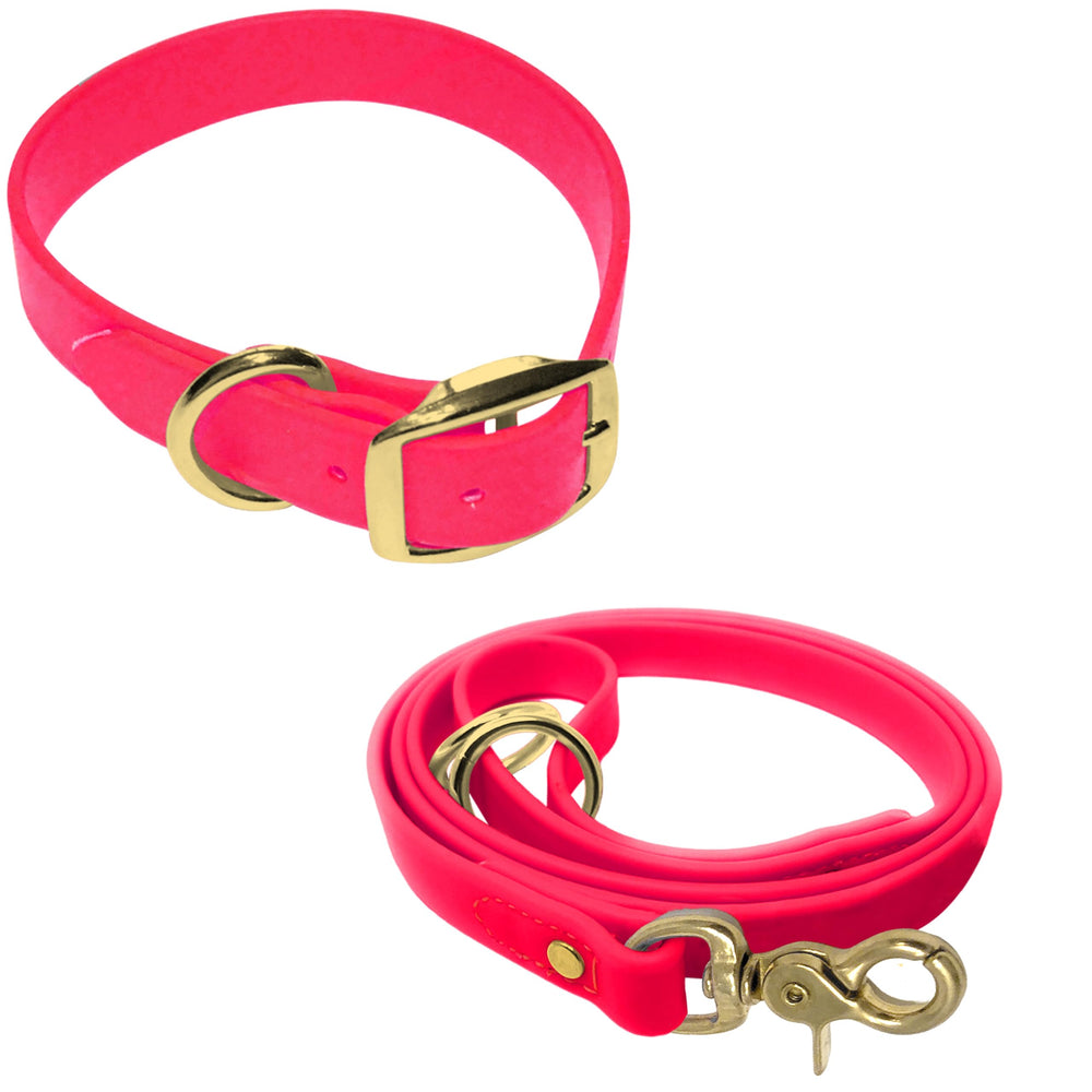 Collier Regal Dog Products, collier-impermable-petit-rose, parfait pour plages et nettoyage facile.