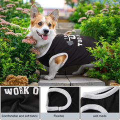 Reginary vetement chien motifs lettres couleurs vives pour style amusant.