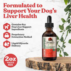 Goutte Rejuvica Health – dosage facile sur la langue du chien