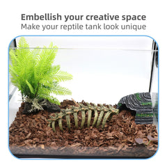 relaqcc Grotte pour reptile, accessible pour terrarium et habitat naturel.